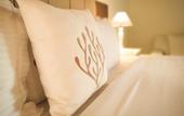 Туры в отель Zendaya Resort Beach Sport & Spa