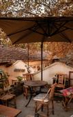 Туры в отель HEONIC ART WELLNESS HOTEL & SUITES - Signature Family Suites - Cat Therapy - Aesop SPA