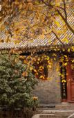 Туры в отель HEONIC ART WELLNESS HOTEL & SUITES - Signature Family Suites - Cat Therapy - Aesop SPA