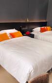 Туры в отель HEONIC ART WELLNESS HOTEL & SUITES - Signature Family Suites - Cat Therapy - Aesop SPA
