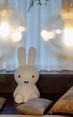 Туры в отель HEONIC ART WELLNESS HOTEL & SUITES - Signature Family Suites - Cat Therapy - Aesop SPA