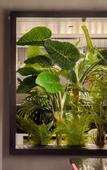 Туры в отель HEONIC ART WELLNESS HOTEL & SUITES - Signature Family Suites - Cat Therapy - Aesop SPA