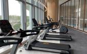 Туры в отель Wyndham Garden Nanjing AIrport