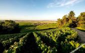 Туры в отель Chateau de Sacy