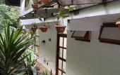 Туры в отель Rupa Rupa High Jungle Eco B&B