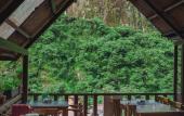 Туры в отель Rupa Rupa High Jungle Eco B&B