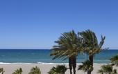 Туры в отель Playavera Hotel - Naturist Friendly