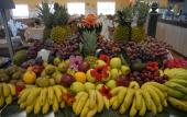 Туры в отель Playavera Hotel - Naturist Friendly
