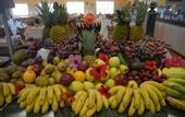 Туры в отель Playavera Hotel - Naturist Friendly