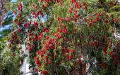 Туры в отель Playavera Hotel - Naturist Friendly
