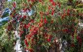 Туры в отель Playavera Hotel - Naturist Friendly