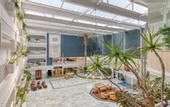 Туры в отель Playavera Hotel - Naturist Friendly