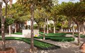 Туры в отель Playavera Hotel - Naturist Friendly