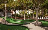 Туры в отель Playavera Hotel - Naturist Friendly