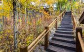 Туры в отель Grand Lake Lodge