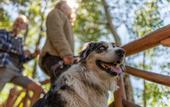 Туры в отель Grand Lake Lodge
