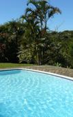 Туры в отель theSolution BnB