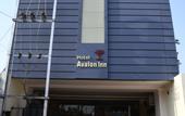 Туры в отель Hotel Avalon Inn