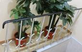 Туры в отель O Eletrico Guesthouse
