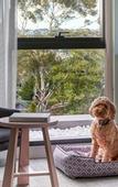 Туры в отель Element by Marriott Melbourne Richmond