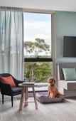 Туры в отель Element by Marriott Melbourne Richmond