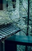Туры в отель The Hiramatsu Kyoto