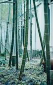 Туры в отель The Hiramatsu Kyoto