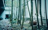 Туры в отель The Hiramatsu Kyoto