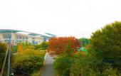 Туры в отель HOTEL WILL Urawa
