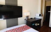 Туры в отель Phoenix Park Hotel