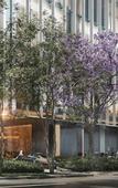 Туры в отель JW Marriott Hotel Guadalajara