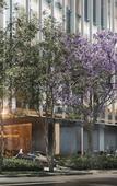 Туры в отель JW Marriott Hotel Guadalajara
