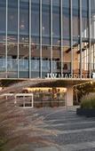 Туры в отель JW Marriott Hotel Guadalajara
