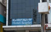 Туры в отель Hotel Scarlet