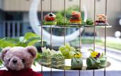 Туры в отель Sheraton Fuqing Hotel