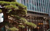 Туры в отель The Lixury Hotel Chongqing, in The Unbound Collection by Hyatt