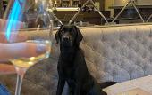 Туры в отель CALVARY Hotel & Restaurant Vilnius