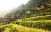 Туры в отель Laxsik Ecolodge