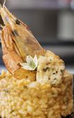 Туры в отель Novotel Convention And Spa