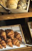 Туры в отель Novotel Convention And Spa