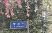 Туры в отель Ibis Hotel (Chengdu Wide and Narrow Alleys Central Hotel)