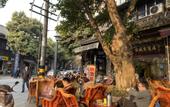 Туры в отель Ibis Hotel (Chengdu Wide and Narrow Alleys Central Hotel)