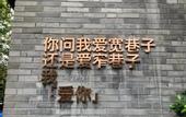 Туры в отель Ibis Hotel (Chengdu Wide and Narrow Alleys Central Hotel)