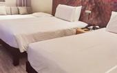 Туры в отель Ibis Hotel (Chengdu Wide and Narrow Alleys Central Hotel)