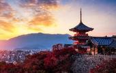 Туры в отель HOTEL RINGS KYOTO