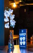 Туры в отель St Christopher's Vienna - Hostel