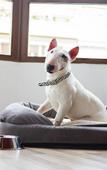 Туры в отель Casual Raizes Porto Hotel by Casual Hoteles