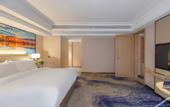 Туры в отель Vienna International Hotel(Shijiaz Railway Station)
