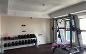 Туры в отель Vienna International Hotel(Shijiaz Railway Station)