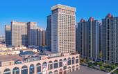 Туры в отель Vienna International Hotel(Shijiaz Railway Station)